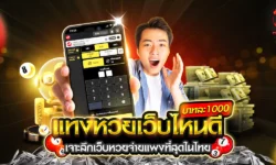 หวยบาทละ 1000 เว็บไหนดี เจาะลึกเว็บหวยจ่ายแพงที่สุดในไทย